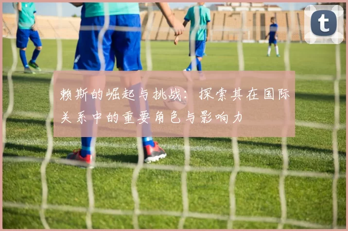 赖斯的崛起与挑战：探索其在国际关系中的重要角色与影响力