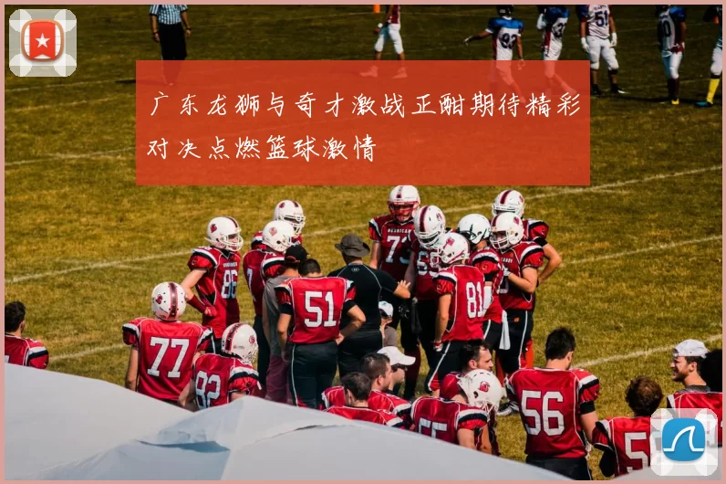 广东龙狮与奇才激战正酣期待精彩对决点燃篮球激情