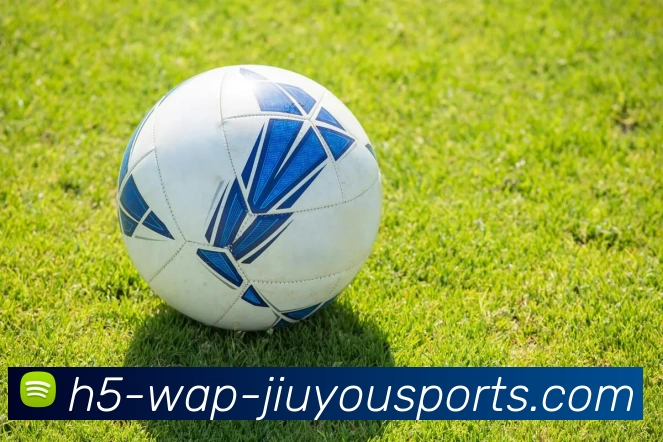 JIUYOU平台生态图